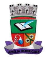 Brasão da seguinte cidade: Amélia Rodrigues