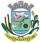 Brasão da seguinte cidade: Araguapaz
