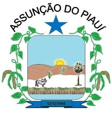Brasão da seguinte cidade: Assunção do Piauí