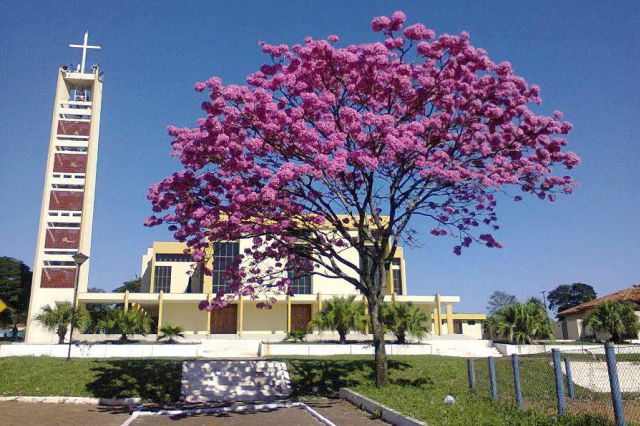 Foto da Câmara Municipal de Cidade Gaúcha