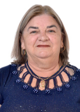 Foto do vereador NATALINA PANICHI